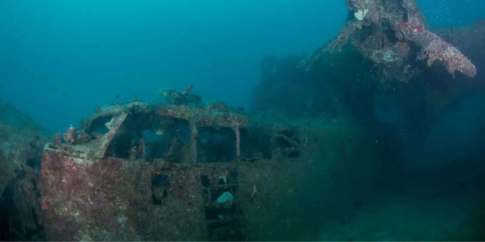 View of the Mavis seaplane wreck in the Solomon Islands.