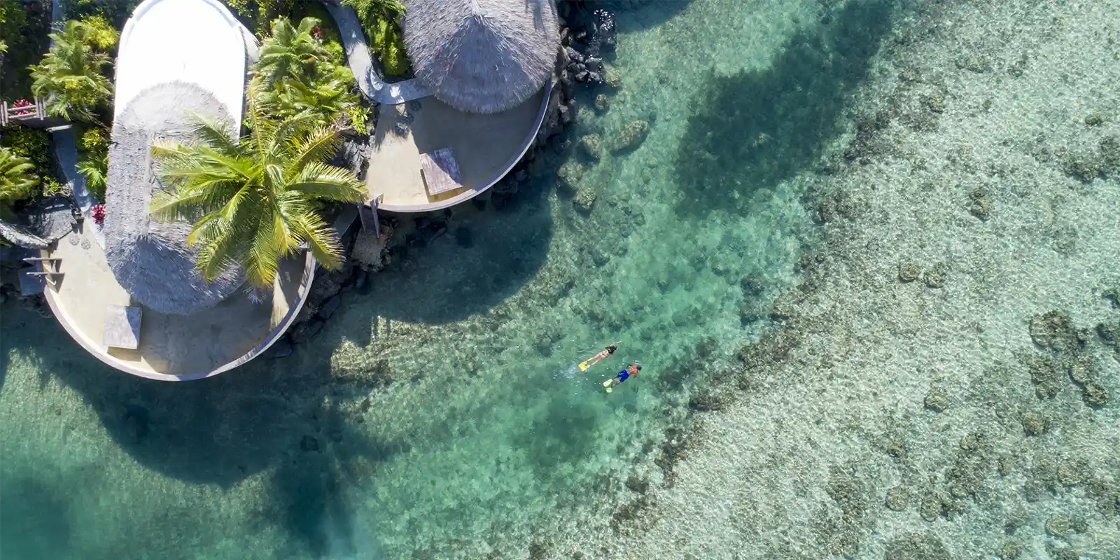Aerial of Koro Sun Resort & Rainforest Spa in Fiji