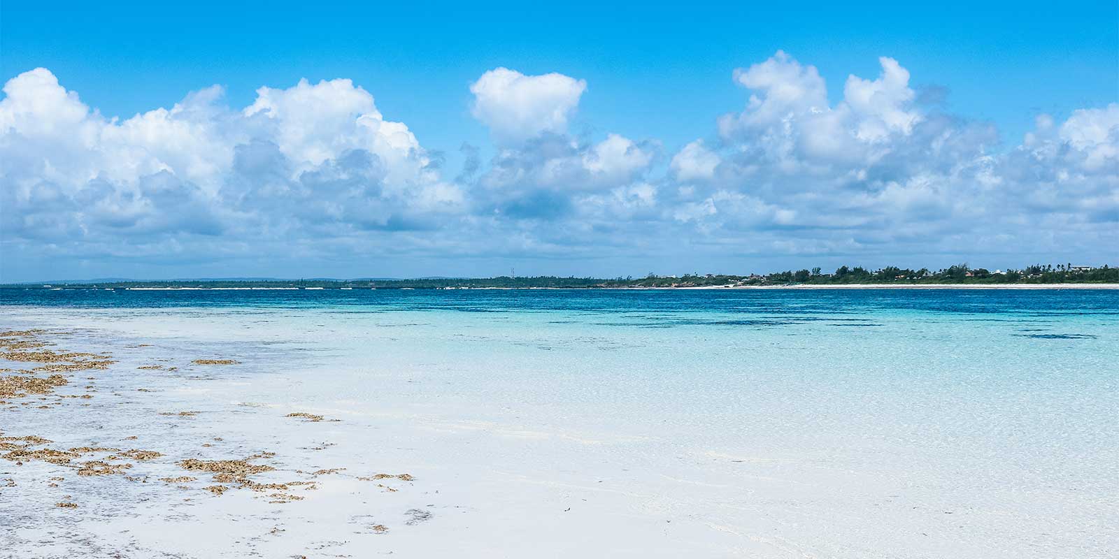 Beach in Watamu, Kenya