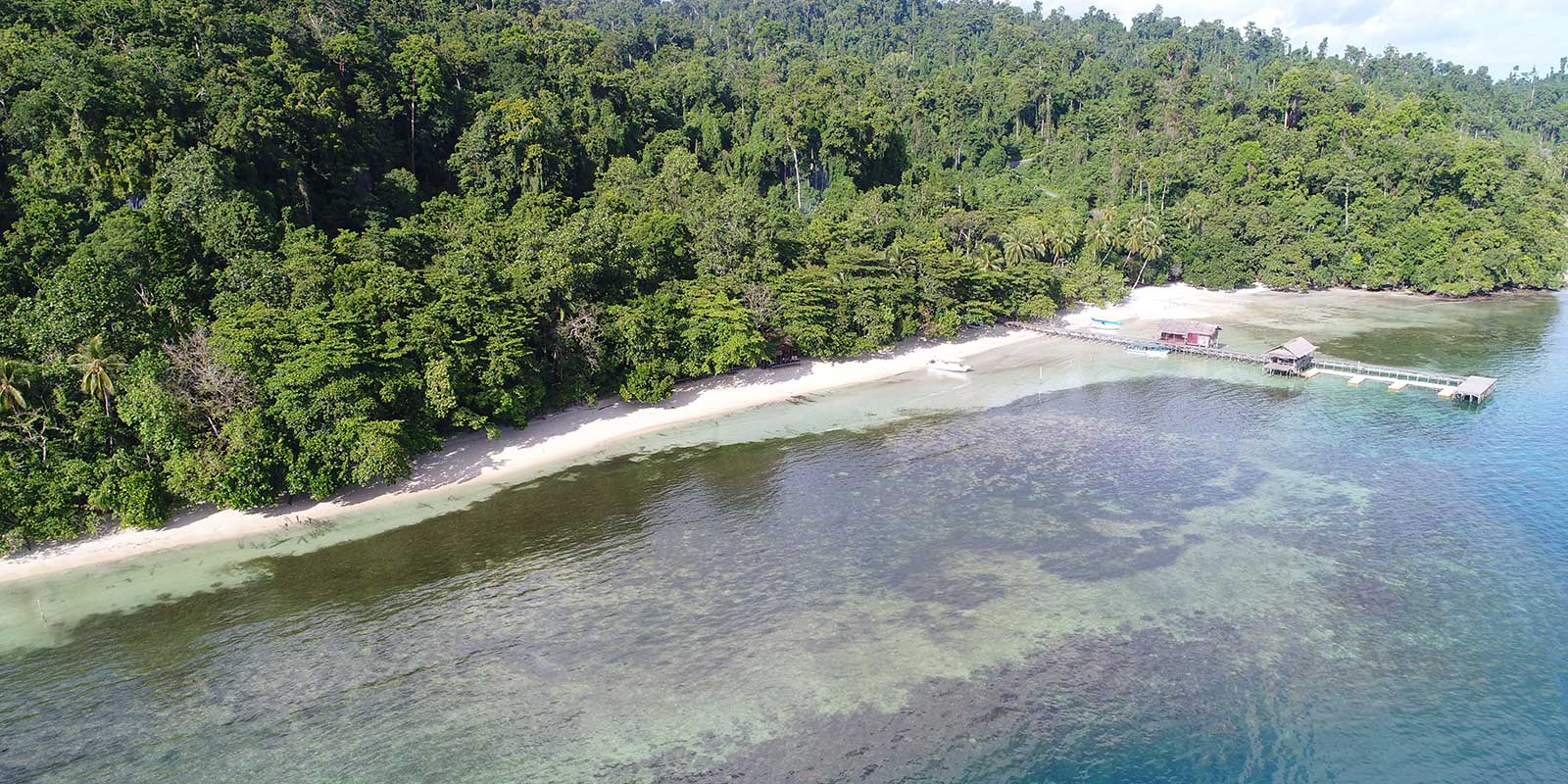 Aerial shot of Dive into Raja Ampat Resort & Dive Centre in Indonesia