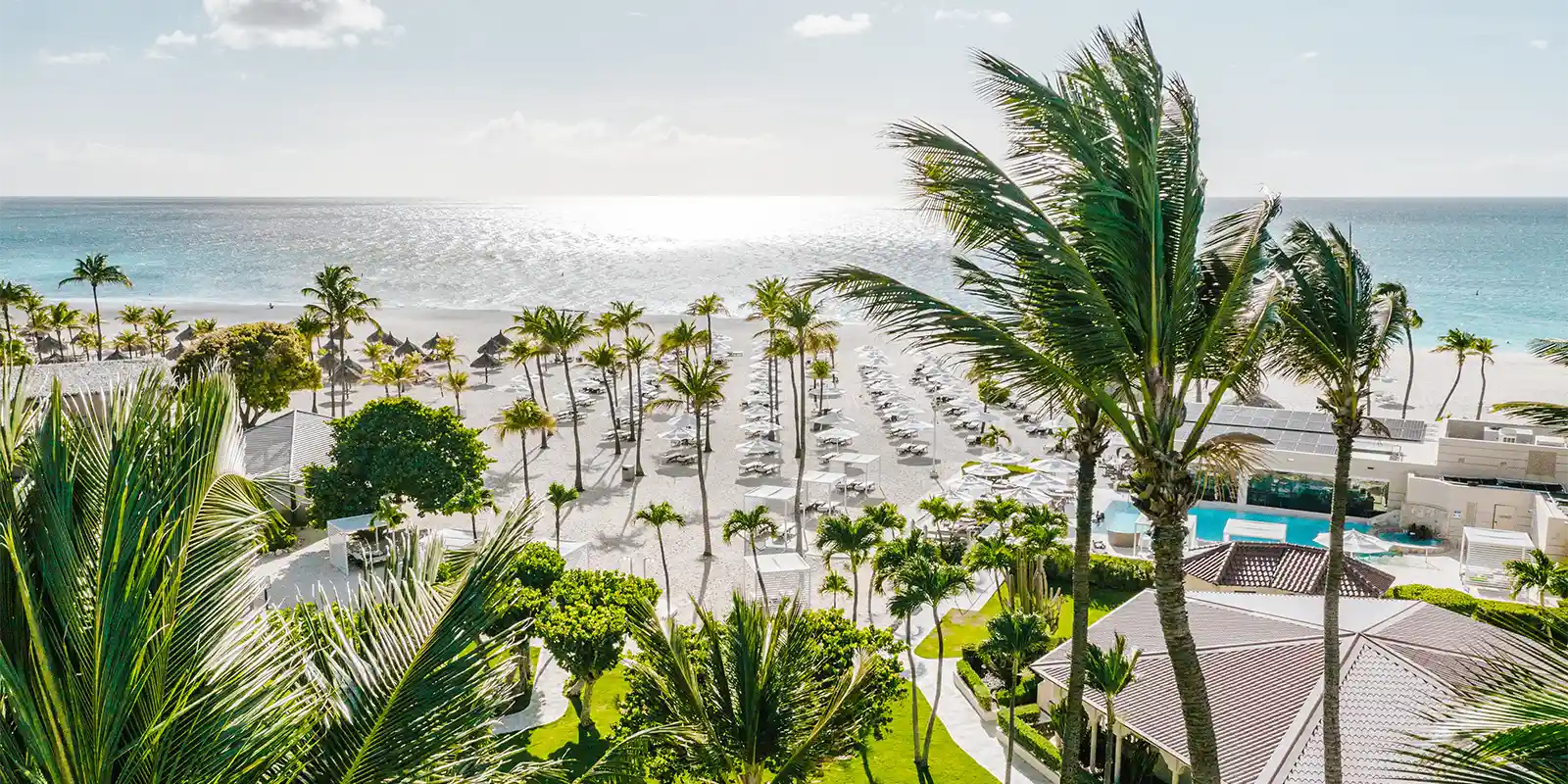Aerial of Bucuti & Tara Beach Resorts in Aruba, the Caribbean