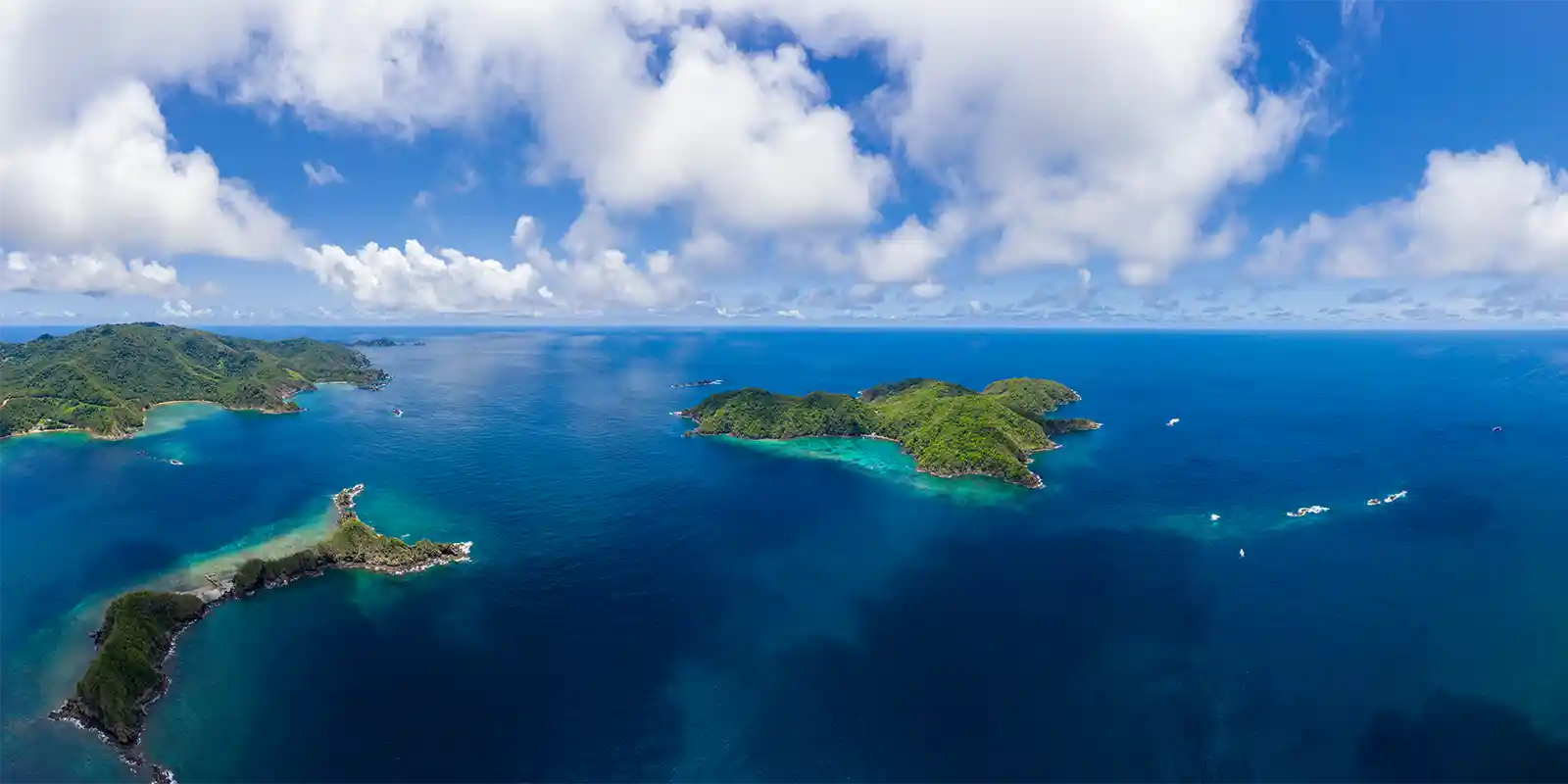Aerial of Little Tobago