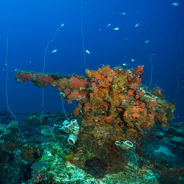 Wreck in Truk Lagoon