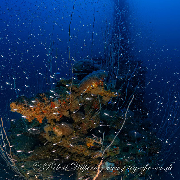 Wreck in Bikini Atoll
