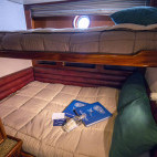 Superior cabin on board Solmar V liveaboard