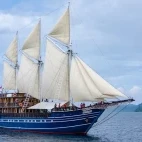 Amira liveaboard in Indonesia
