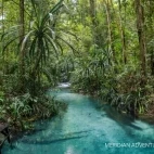 View of the Blue River, Raja Ampat, Indonesia.