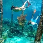 Guests snorkelling on a day trip from Meridian Adventure Dive Resort, Raja Ampat.