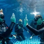 Guests undertaking an open water course at Meridian Adventure Dive Resort, Raja Ampat.