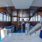 Dive boat at Siladen Resort & Spa in Indonesia