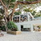 Restaurant & Acacia trees at Solitude Acacia Resort in Anilao, the Philippines
