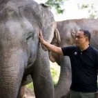 Phuket Elephant Sanctuary in Thailand