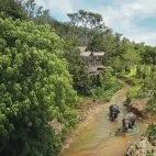 Phuket Elephant Sanctuary in Thailand