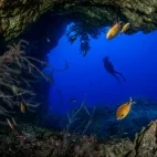 Diver observing a reef. Haliotis Santa Maria Dive Centre