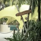 The Olive Ridley Marine Turtle Rescue Centre at Coco Palm Dhuni Kolhu Resort, Maldives