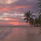 A beautiful sunset at Coco Palm Dhuni Kolhu Resort, Maldives