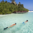 Guests enjoying the house reef at Embudu Village. 