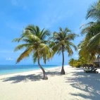Hammock on the beach at Kuredu Resort & Spa in the Maldives