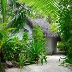 External shot of a beach bungalow, in traditional Maldivan style, at Makunudu Island Resort.