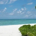 White sand beach by Makunudu Island Resort.