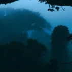 Evening view from the treetop platform at  Napo Cultural Centre Lodge, Ecuador.