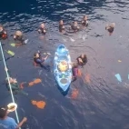 Nibbles on kayak from Emperor Bilikiki liveaboard in the Solomon Islands