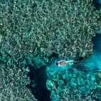 Snorkeller at Uepi Island Resort in the Solomon Islands