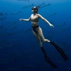 Snorkeller at Uepi Island Resort in the Solomon Islands