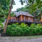 Treehouse at Matangi Private Island Resort in Fiji
