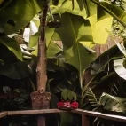 Outdoor shower at Oneta Resort in Fiji