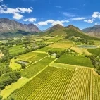 Franschhoek winelands in South Africa
