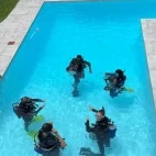 Divers in the pool at the Lookout Guesthouse, South Africa