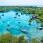 Aerial view of moored boats, Zanzibar