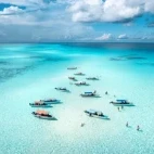 Aerial of boats in Zanzibar, Tanzania