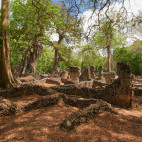 Gede city ruins in Watamu, Kenya
