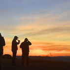 Divers at sunset in South Africa.