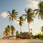 Beach at Mafia Island.