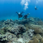 Divers at Mafia Island in Tanzania.