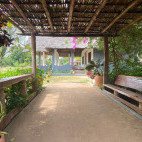 Garden at Mafia Kivulini Lodge in Tanzania