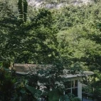 External forest views at Black Rock Lodge, Belize.