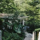 View of a forest cabin at Black Rock Lodge, Belize.