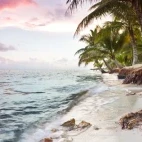 Sunrise on the coast, Belize.