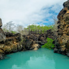 La Greitas on Santa Cruz island in the Galapagos.