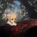Nudibranch in the Bangka Archipelago, Indonesia.