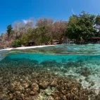 View of the Murex Bangka house reef, Indonesia.