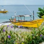 One of the brightly-coloured bangka boats used by Buceo Anilao Dive Centre, Philippines.