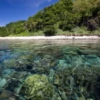 Pristine beach and corals underwater at Atmosphere Resort.