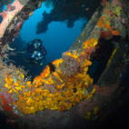 Liberty wreck in Bali.