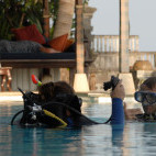 Learning to dive at Gangga Divers in Bali, Indonesia