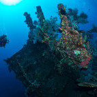 Liberty wreck and diver in Tulamben, Bali, Indonesia